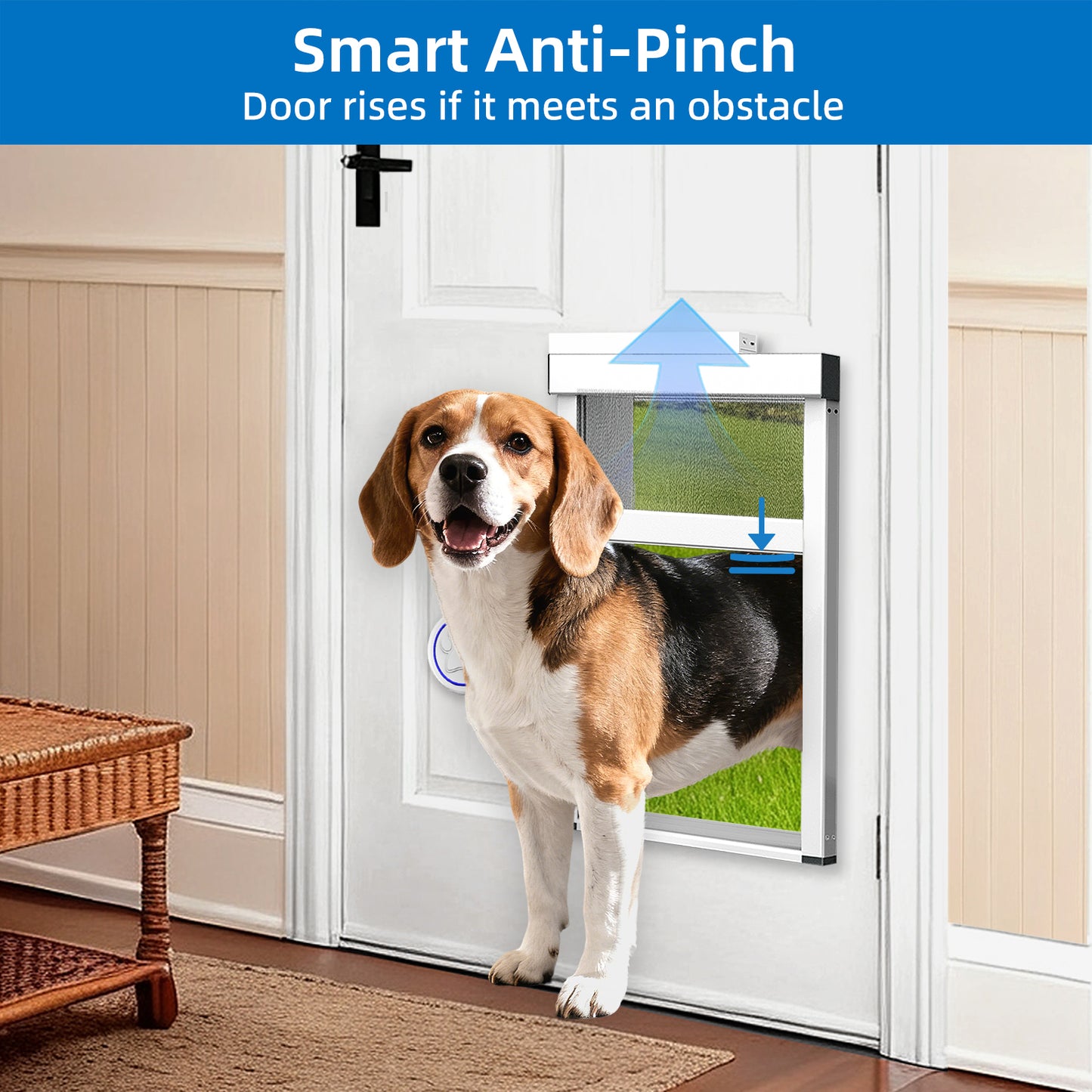 TidyTechPet Smart Pet Door for Door Mount | Standard Size