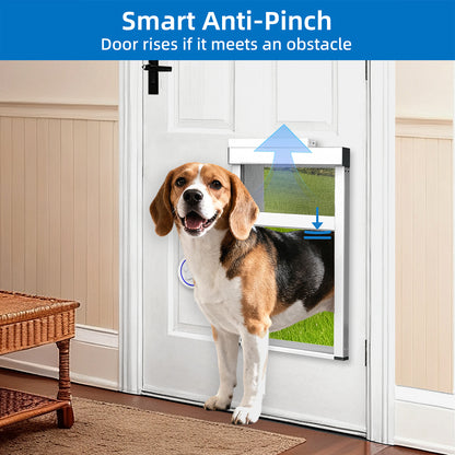 TidyTechPet Smart Pet Door for Door Mount | Standard Size