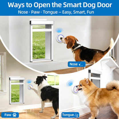 TidyTechPet Smart Pet Door for Wall Mount | Standard Size