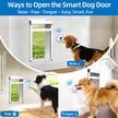 TidyTechPet Smart Pet Door | Custom Size