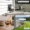 TidyTechPet Smart Pet Door | Custom Size