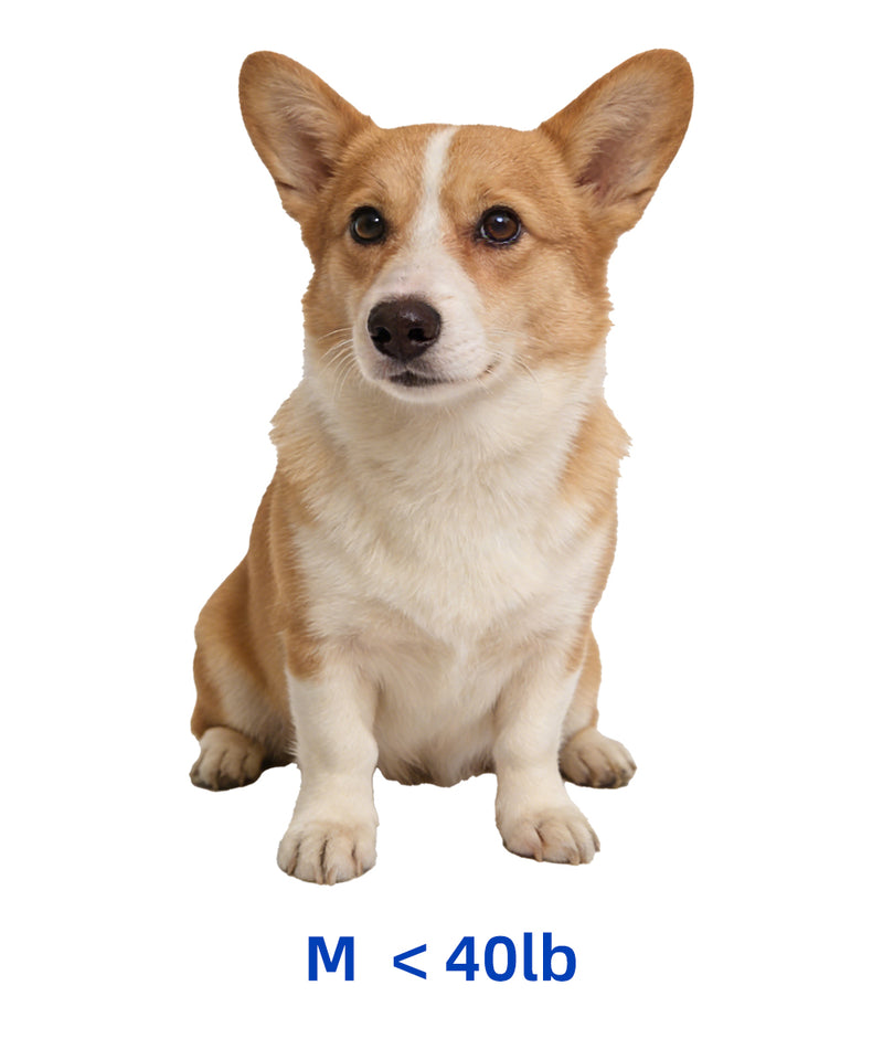 Medium