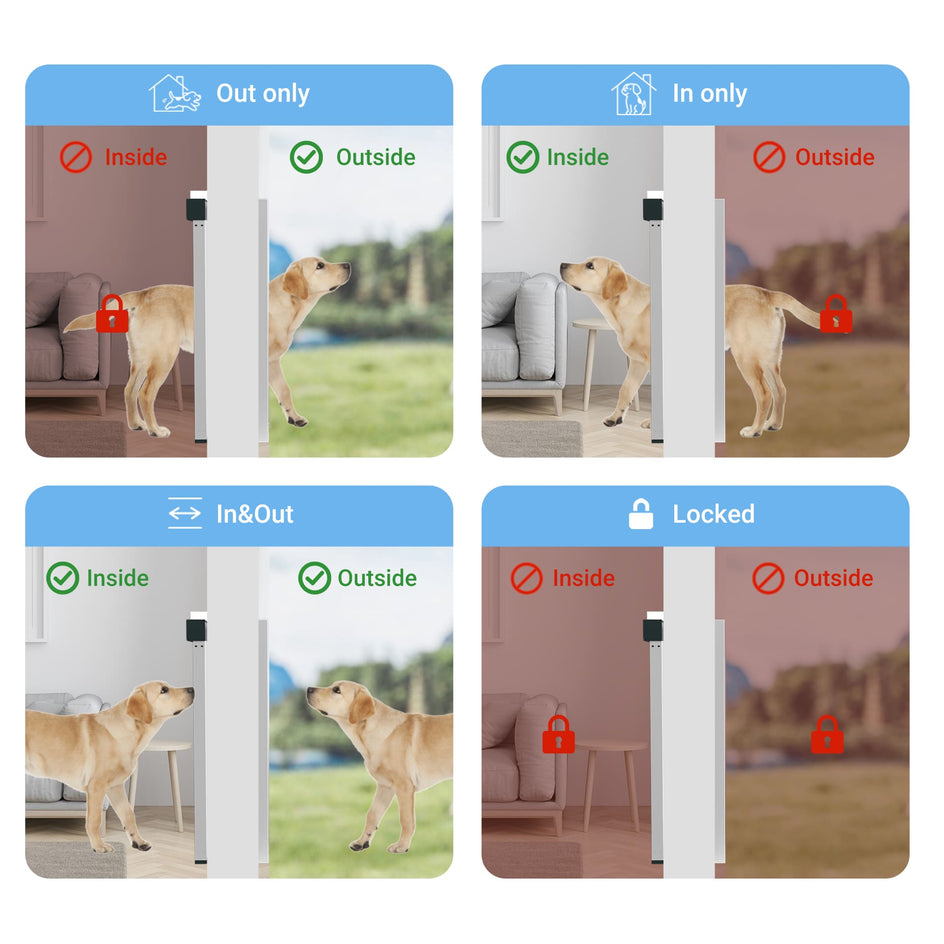 Four scenarios showing a dog using a pet door with different permissions.