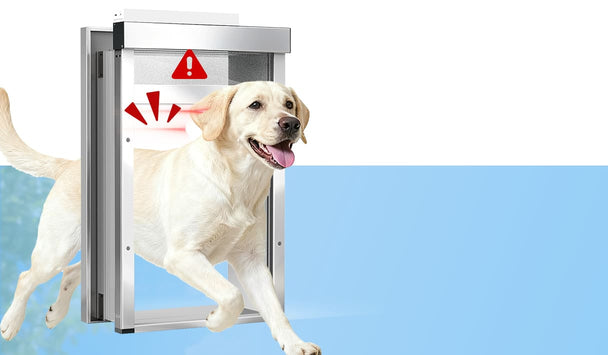 Dog using a pet door with a warning sign on a blue background