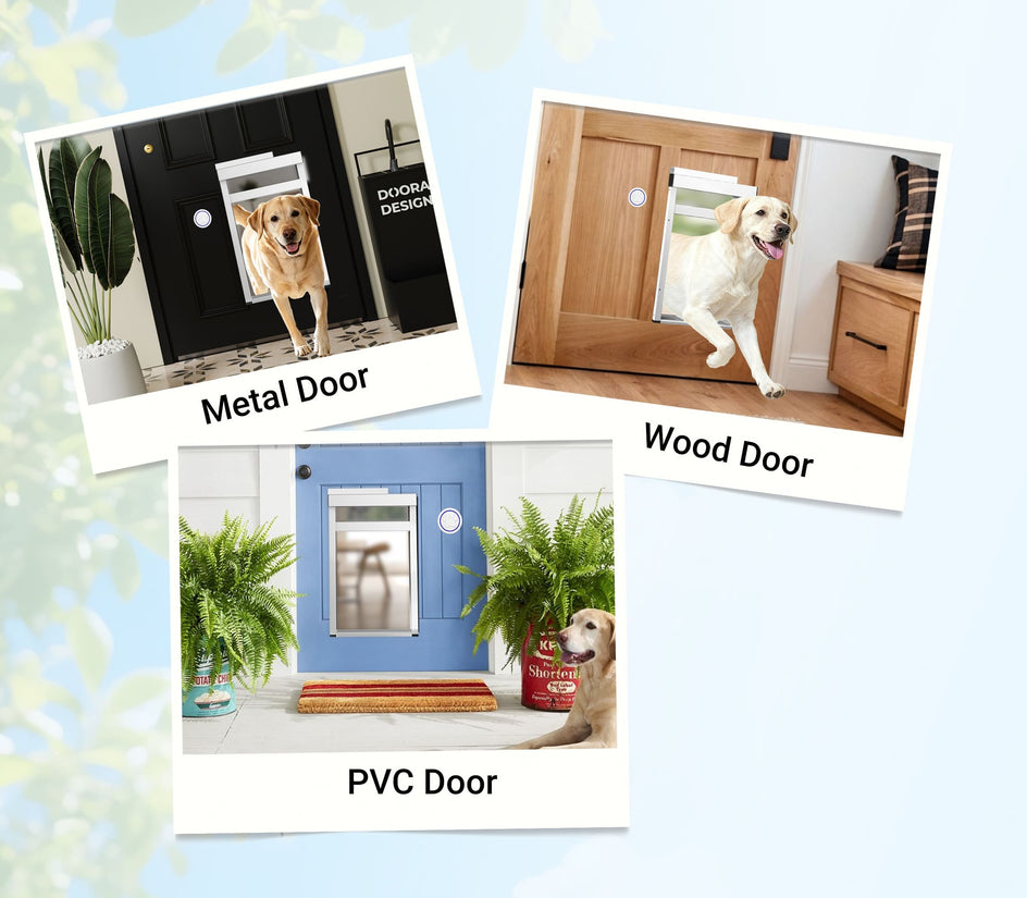Collage of three different types of pet doors: metal, wood, and PVC, with dogs using each.