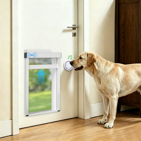 Dog using a pet door in a home setting