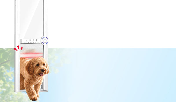 A golden retriever dog is shown walking through a pet door, with a bright red illuminated strip visible at the opening. The product is presented against a clean white and light blue background.