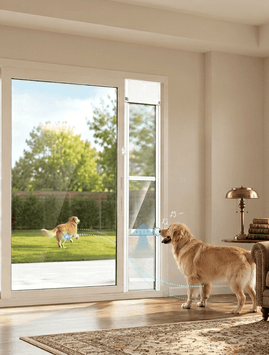 A golden retriever stands indoors near a large glass patio door, demonstrating a transparent safety gate with blue outlined sensor lines. Another dog is visible outside on the lawn.
