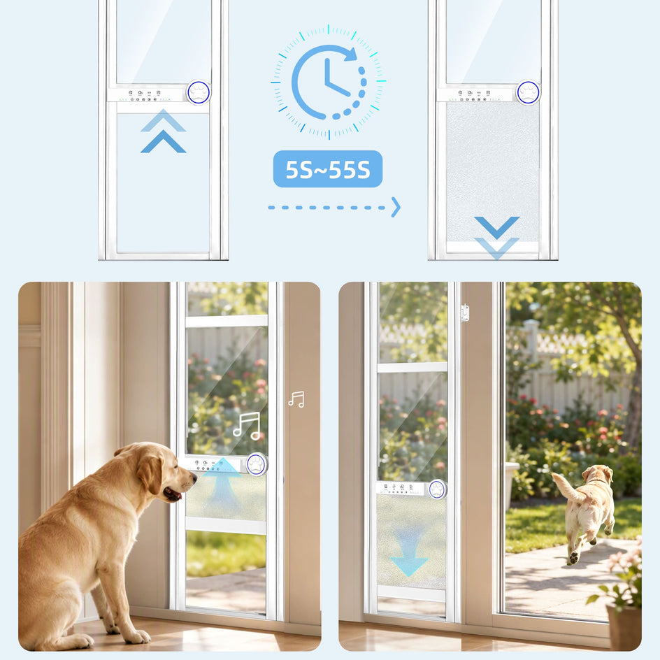 Dog window alarm and sound barrier decals shown on glass doors, with a golden retriever sitting outside and another dog running through a gate. The top panel includes a clock icon and text reading 55~55S to illustrate the sound delay feature.