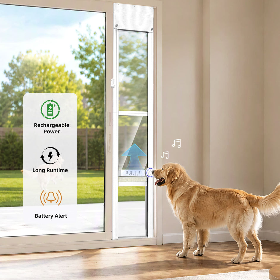 A golden retriever stands on a wooden floor inside a room, interacting with a smart glass door window lock. A white informational overlay on the left lists features like rechargeable power, long runtime, and battery alert.