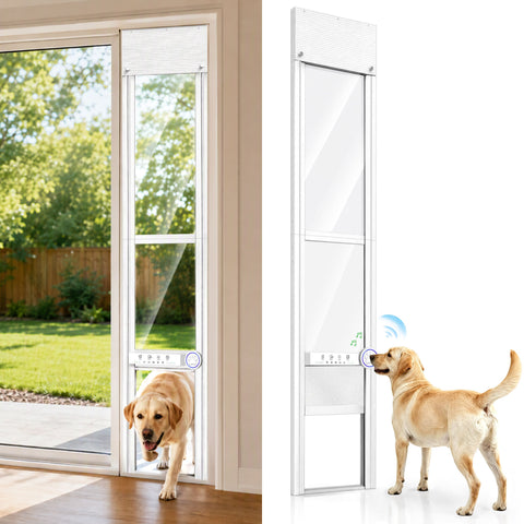 A dog door entry/exit system shown installed in a sliding glass door with a yellow Labrador retriever walking through it, plus a standalone view of the white frame and mesh panel with the same dog standing beside it on a white background.