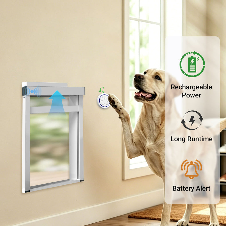 Dog using a pet door with features highlighted on the right side.