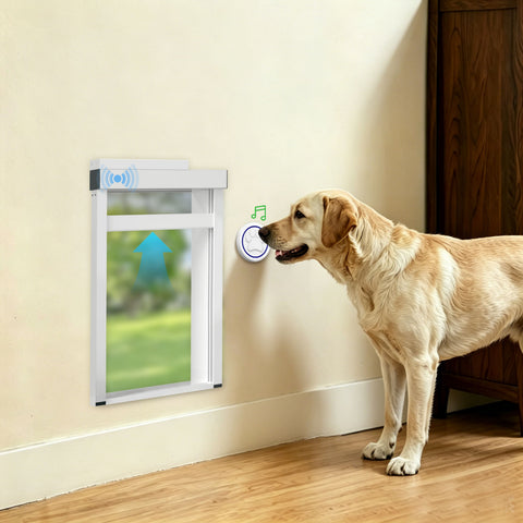 Dog using a pet door with a remote control in a home setting