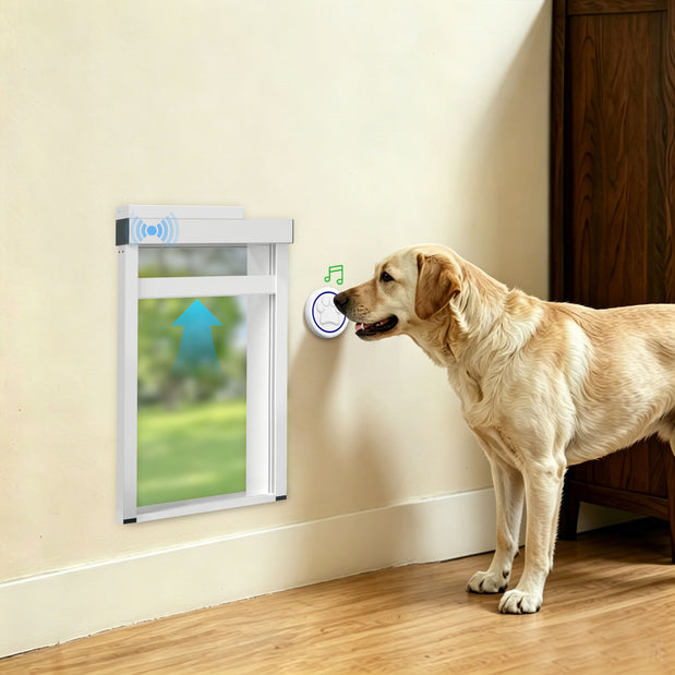 Dog using a pet door with a remote control in a home setting