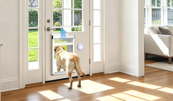 Dog using a pet door in a home setting with a view of the garden outside.