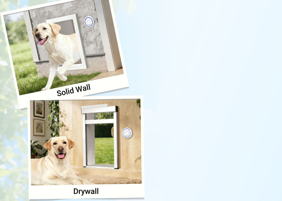 Dog using a pet door in a solid wall and drywall setting.
