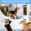 Three dogs using different methods to open a smart dog door.