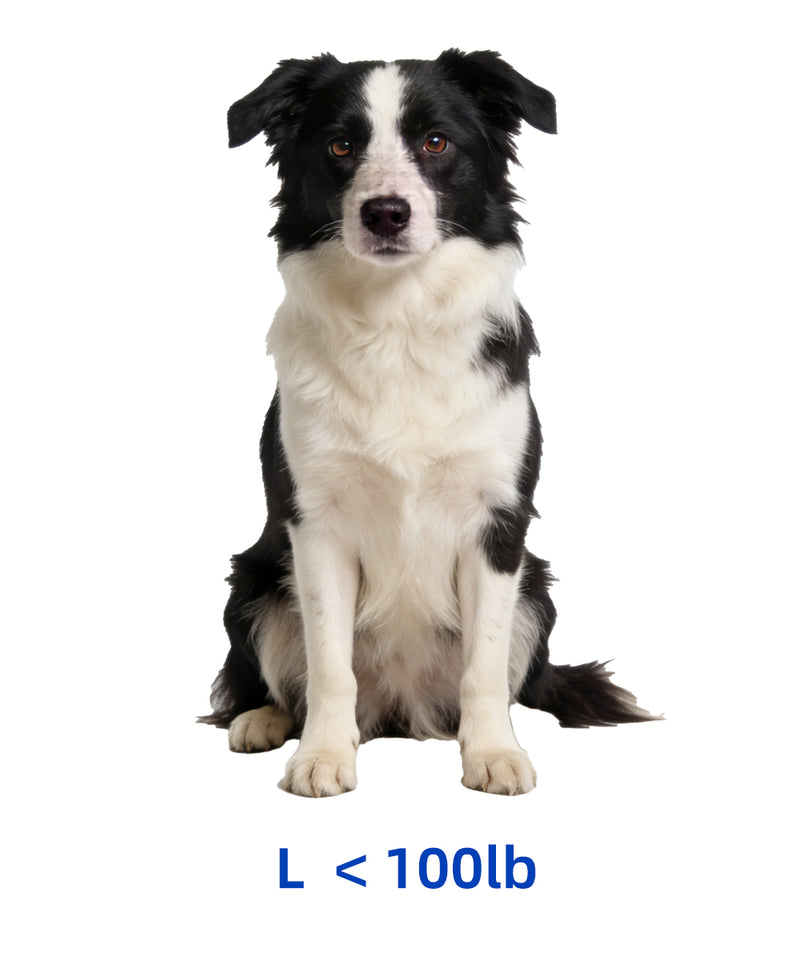 Large
