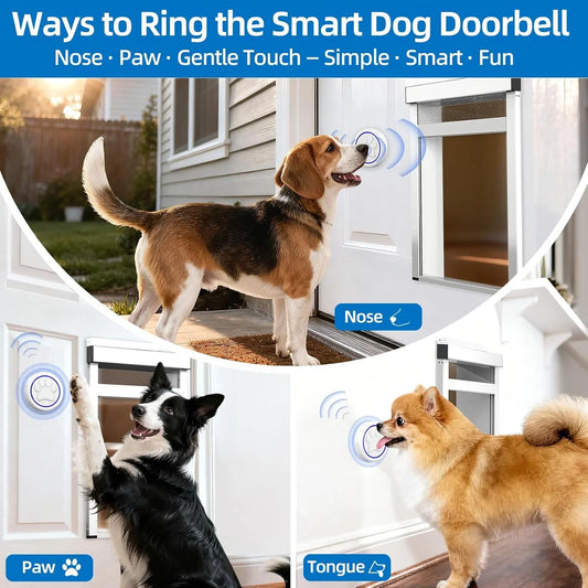 Smart dog doorbell activated by nose, paw, or tongue touch for easy pet access