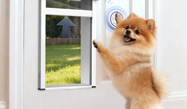 Small dog standing on a wooden floor next to a glass pet door with grass outside.