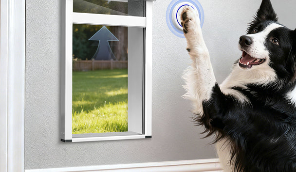 Dog using a pet door with a digital display and Wi-Fi symbol.