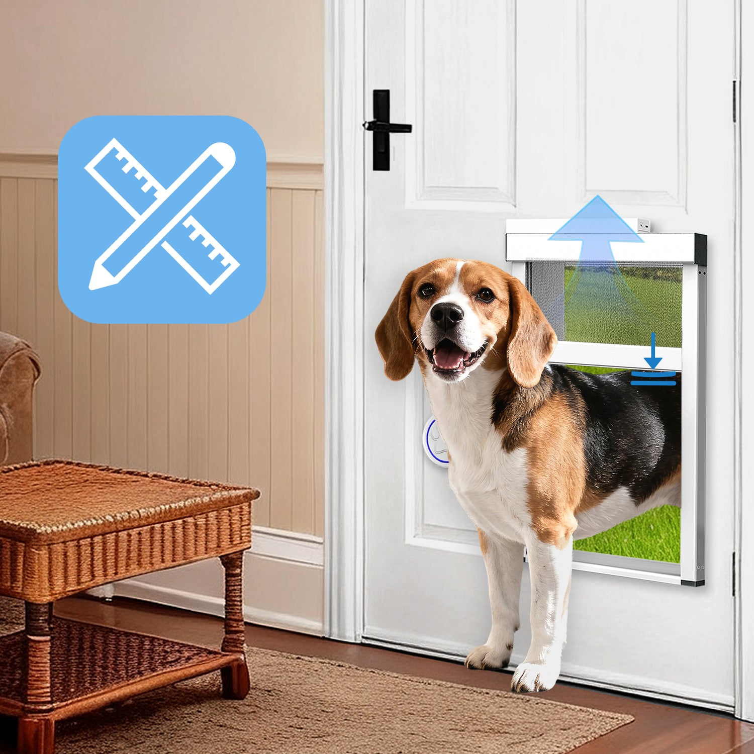 TidyTechPet MeasureFit Guarantee - TidyTechPet