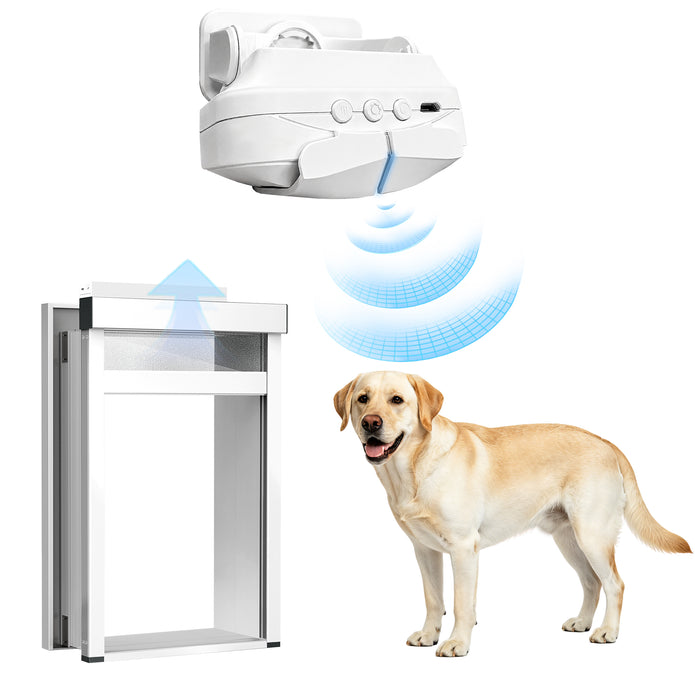A white automatic dog door shown with a yellow Labrador retriever and blue wireless signal graphics indicating remote or sensor activation, on a plain white background.