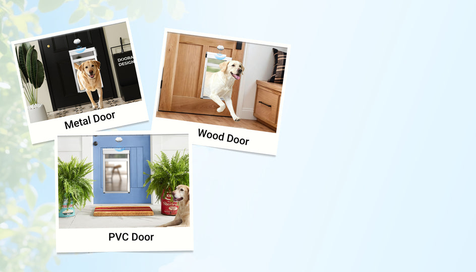 Three product comparison photos showing pet door options labeled Metal Door, Wood Door, and PVC Door, arranged on a pale blue background with decorative leaves at the left edge.