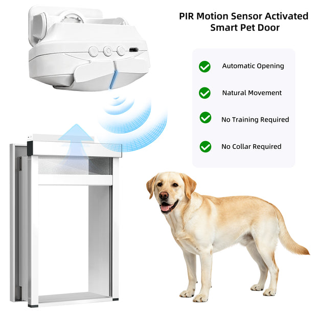 A smart pet door shown on a white background with a yellow Labrador dog beside it and text listing features: PIR motion sensor activated, automatic opening, natural movement, no training required, and no collar required.