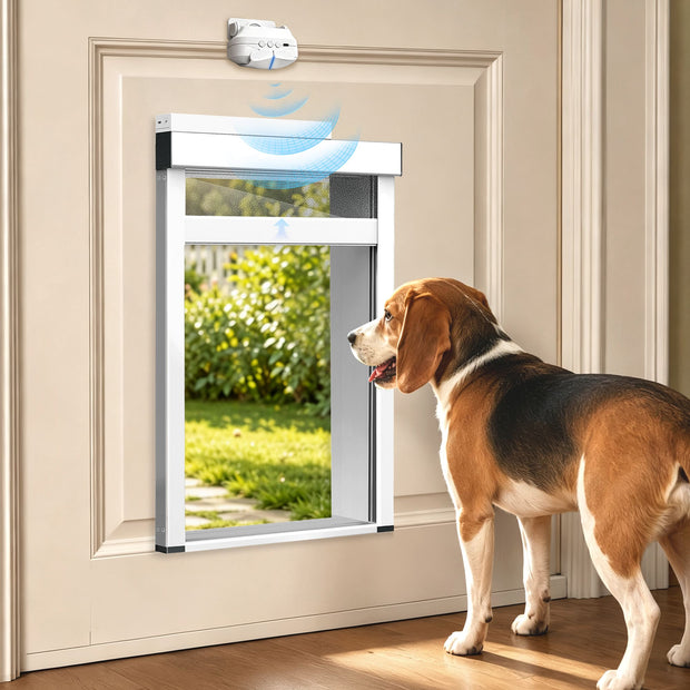 A beagle dog stands beside a pet door installed on a beige interior door, with the dog looking through the opening. The product is a white and silver automatic pet door with a black top sensor unit mounted above the door frame.