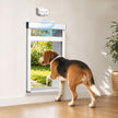 A beagle dog stands at a white pet door installed on a beige wall, looking outside toward a green garden. A small white device above the door shows a blue signal graphic, and the scene is set in a real indoor room with wood flooring and a potted plant.
