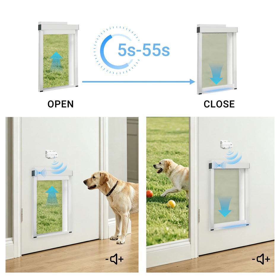 A pet door opening and closing demonstration graphic with a dog shown in a real indoor/outdoor setting. The top diagram shows the door open and closed with a 5s-55s timing indicator, and the bottom panels show a golden retriever standing by the open door and running across the grass while the door closes.