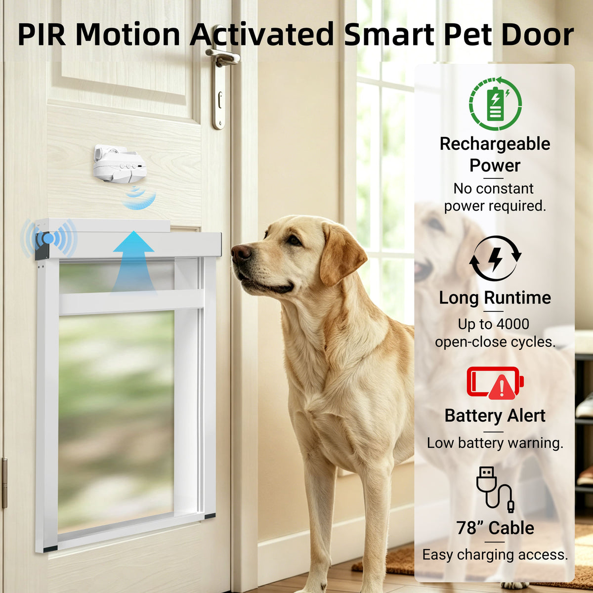 A smart pet door installed on a white interior door, with a yellow Labrador retriever standing beside it. The image includes marketing text and feature callouts for a motion-activated smart pet door, including rechargeable power, long runtime, battery alert, and 78-inch cable length.