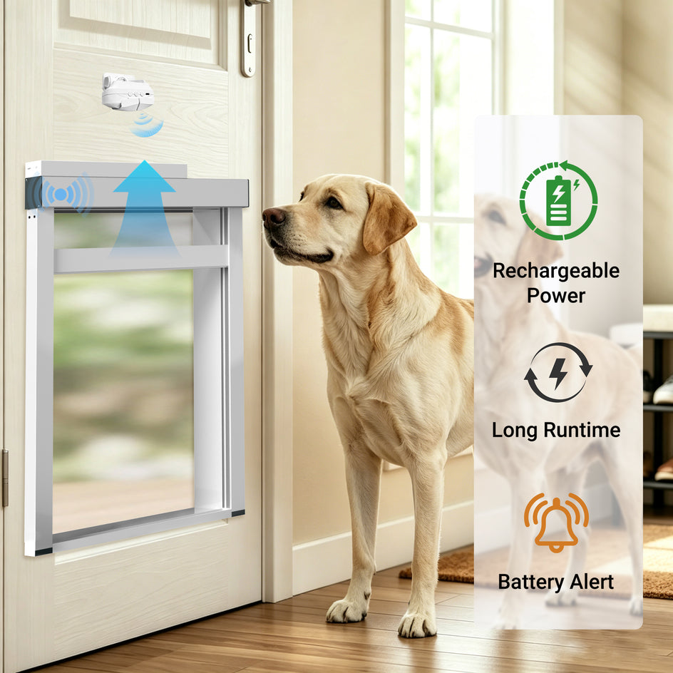 A yellow Labrador retriever stands beside a white door with a silver pet door installed, showing blue wireless signal graphics. A translucent overlay on the right lists features: rechargeable power, long runtime, and battery alert.