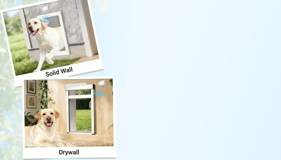 Two product comparison photos showing a yellow Labrador retriever using a pet door: one labeled 'Solid Wall' with the dog standing outside on grass, and one labeled 'Drywall' with the dog lying inside on a beige floor. The main background is a pale light blue.